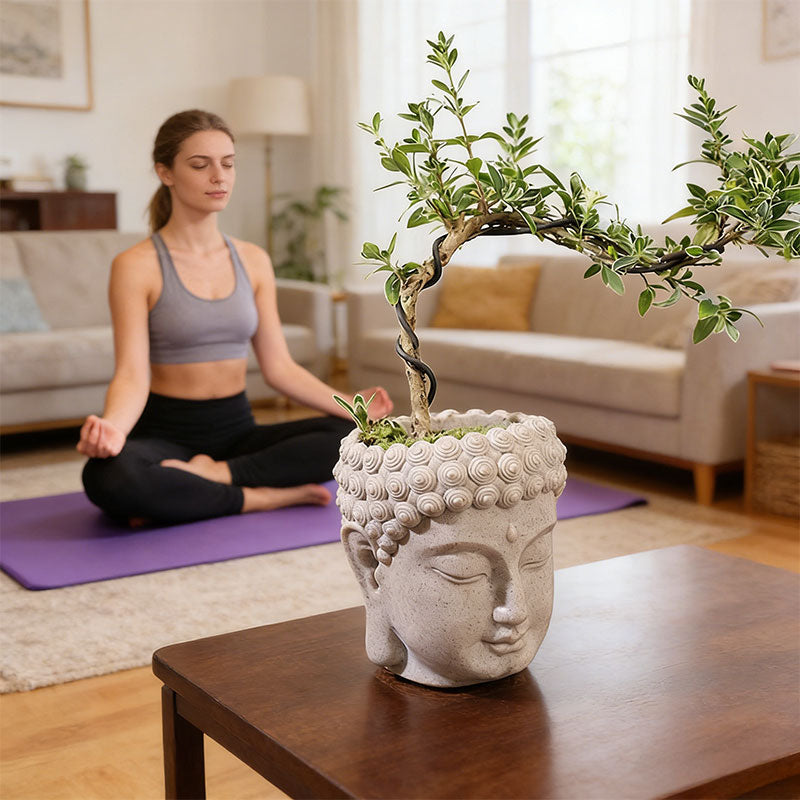 Buddha Head Flower Pot, Small Resin Succulent Planter, Garden Pot Home Office Desk Decoration