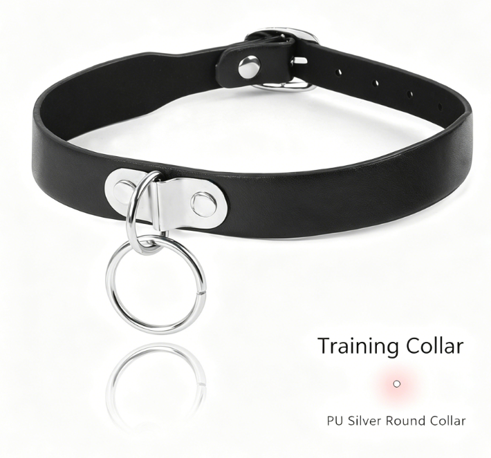 PU Leather Alloy Collar with Rope for Adult Accessories, Neck Strap for Women, Sexy Choker with Tether